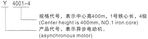 西安泰富西玛Y系列(H355-1000)高压YE2-355L-10三相异步电机型号说明