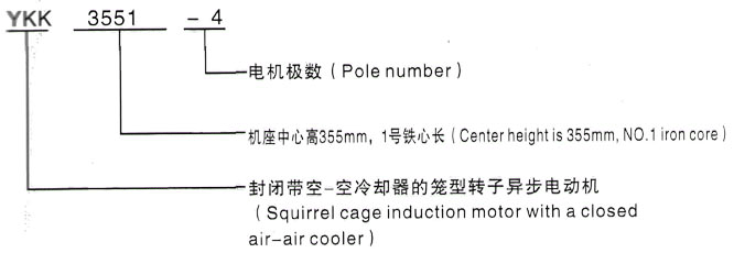 YKK系列(H355-1000)高压YE2-355L-10三相异步电机西安泰富西玛电机型号说明