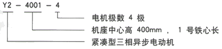 YR系列(H355-1000)高压YE2-355L-10三相异步电机西安西玛电机型号说明